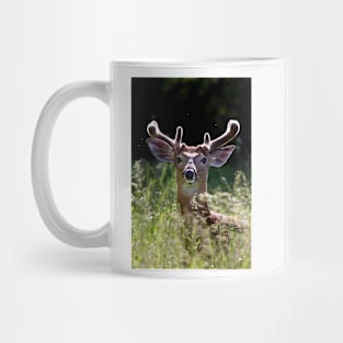 He wore Velvet - White-tailed Deer Mug